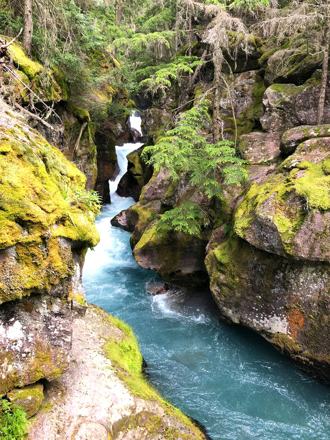 Stunning Avalanche Lake Trail: Gem in Glacier National Park (Hiking Guide)