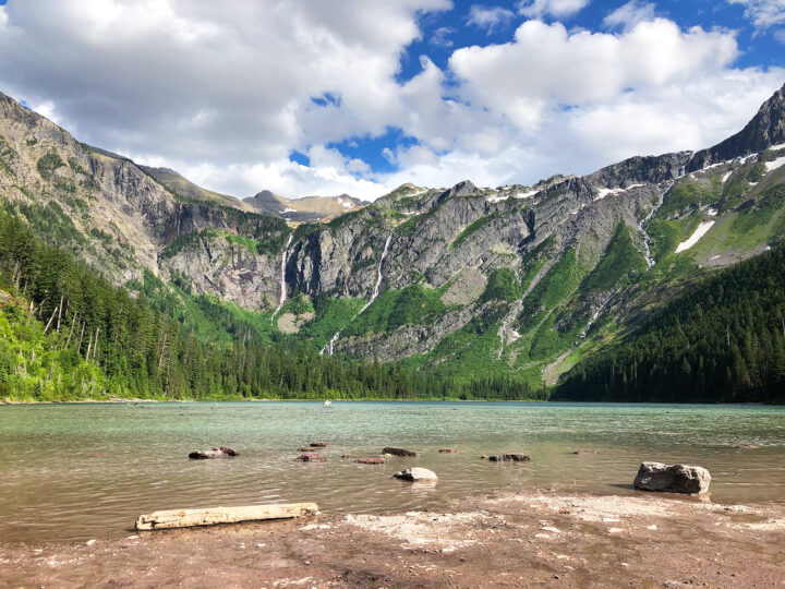 view at Avalanche Lake with brown shore green water trees and mountains in distance