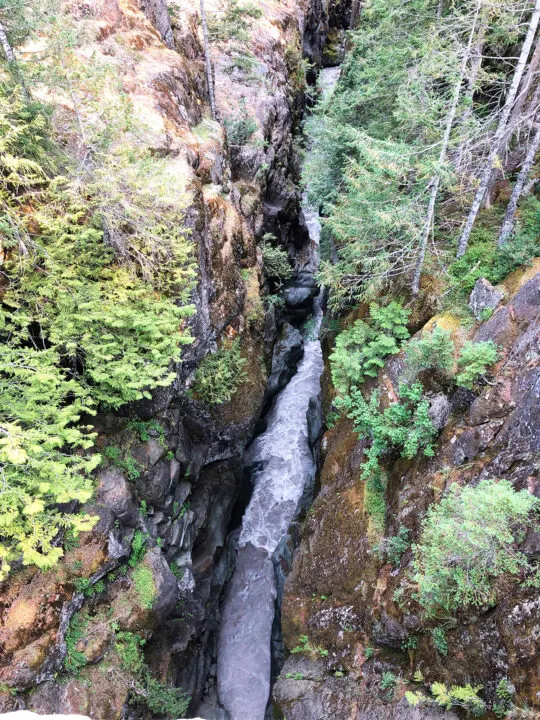 stream in narrow canyon with mossy sides