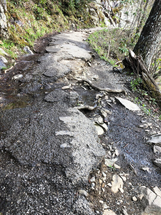 broken pavement along trail with dry and wet spots
