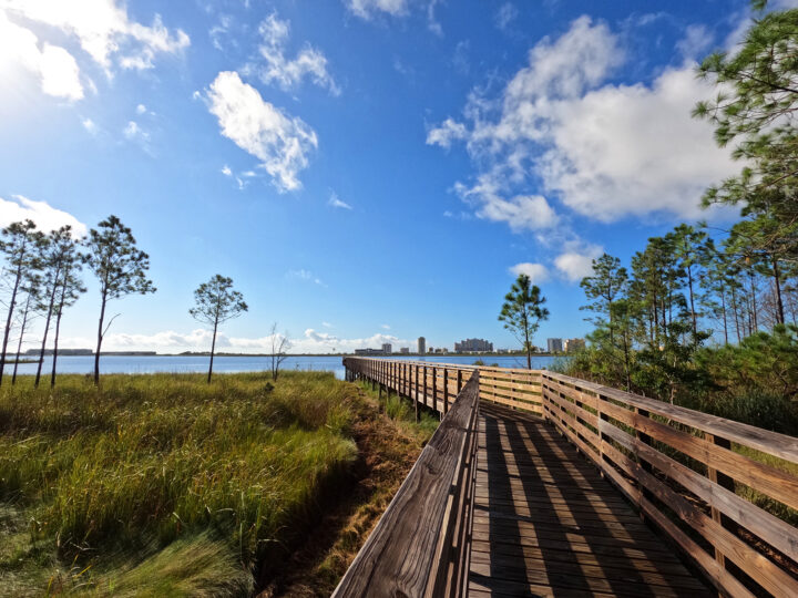 Gulf State Park trail leading to lake with wooden surroundings native grasses and trees