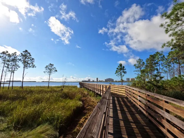 Gulf State Park trail leading to lake with wooden surroundings native grasses and trees