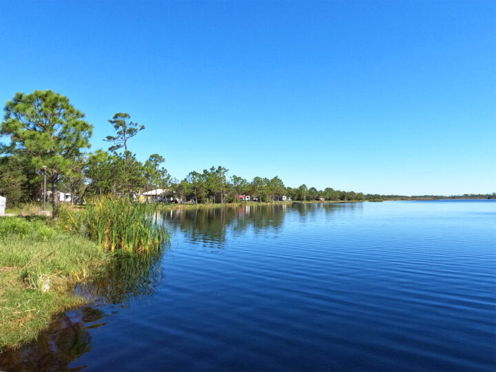 Gulf State Park campground along the water with grass trees and reflective blue sky