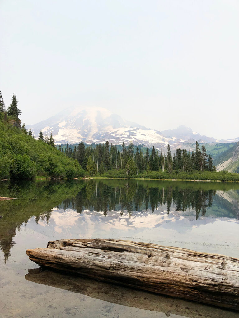 top things to do in mount rainier see bench lake view of log on lake with faint mountain