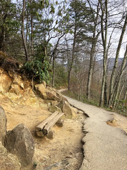 Laurel Falls trail with bench and dormant trees