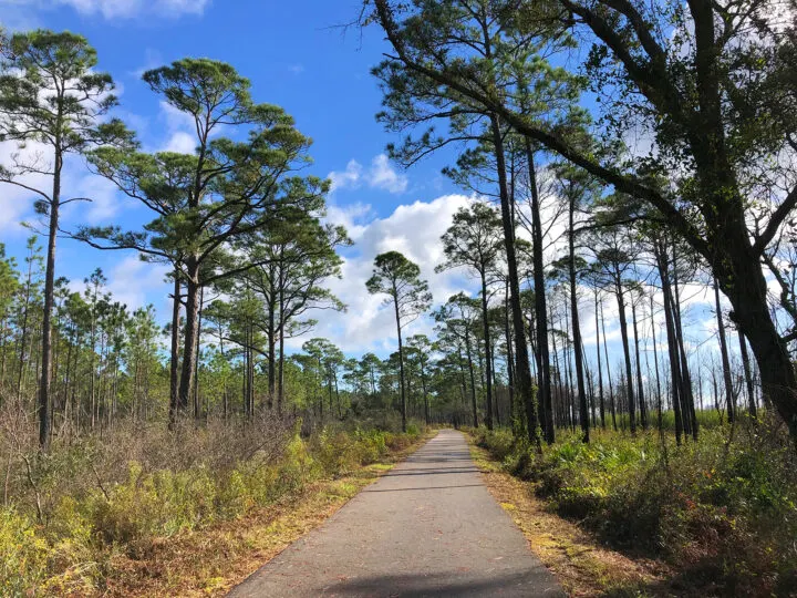 hiking or biking trails at the Gulf State Park concrete trail in the trees on a sunny day
