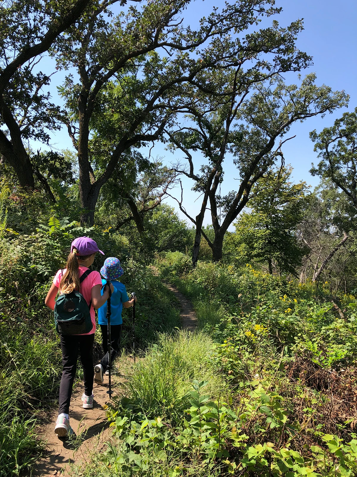 hiking in Iowa with kids young children on a trail with trees and shrubs surrounding them