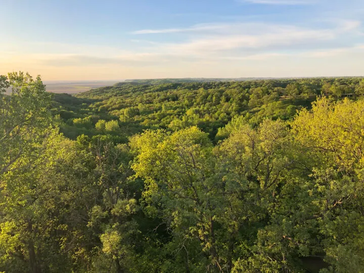 view of the loess hills at the Hitchcock nature center tower overlooking green treetops with prairie in distance
