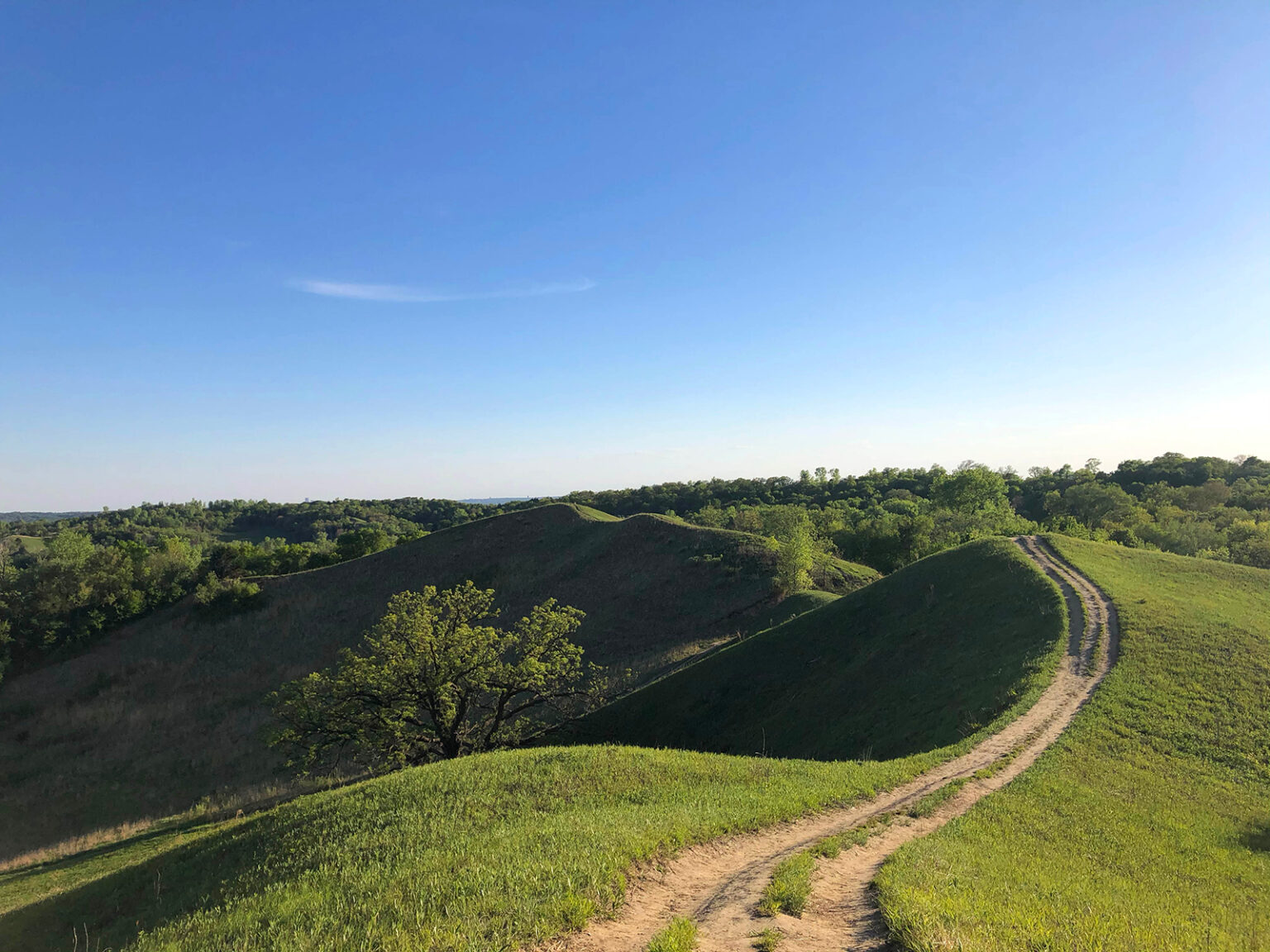 Hitchcock Nature Center: Ultimate Guide to Hike, Discover and Camp the 