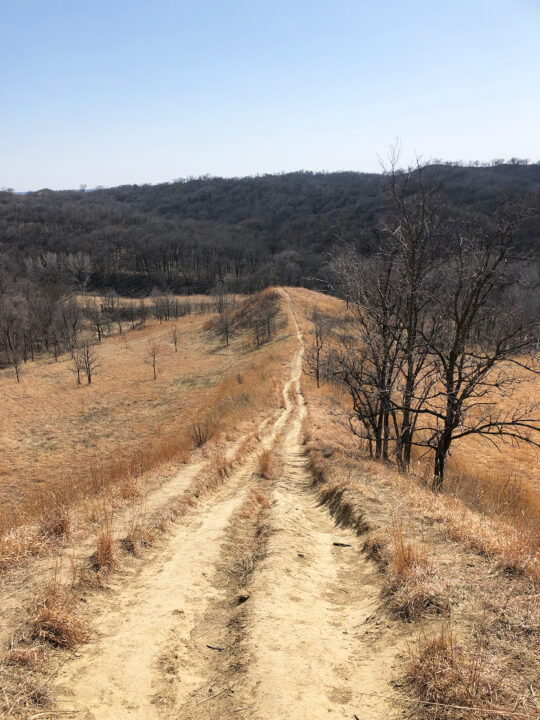 steep downward hill with brown grasses and dormant trees in the distance
