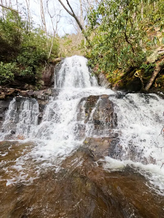 straight on view of waterfall scene in the smoky mountains