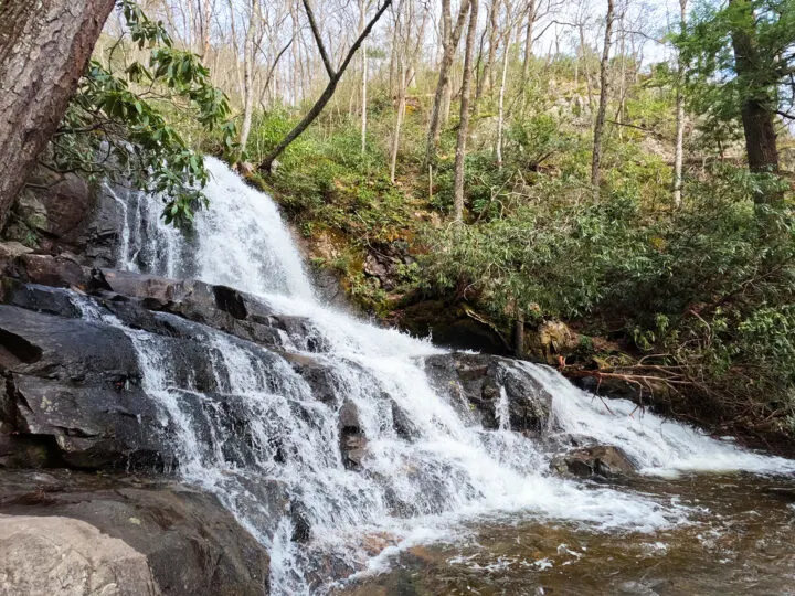 Laurel Falls smoky mountains view of waterfall on hillside with shrubs and trees behind