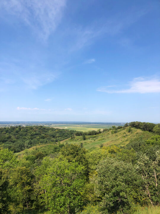 view of the loess hills from the Hitchcock nature center in iowa above the trees on a sunny day