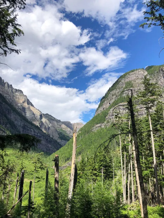 mountain scene with tall trees cliffs and white clouds against blue sky