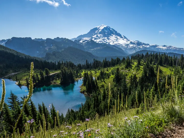 best hikes in mt rainier with snow hillside and blue water on a lake