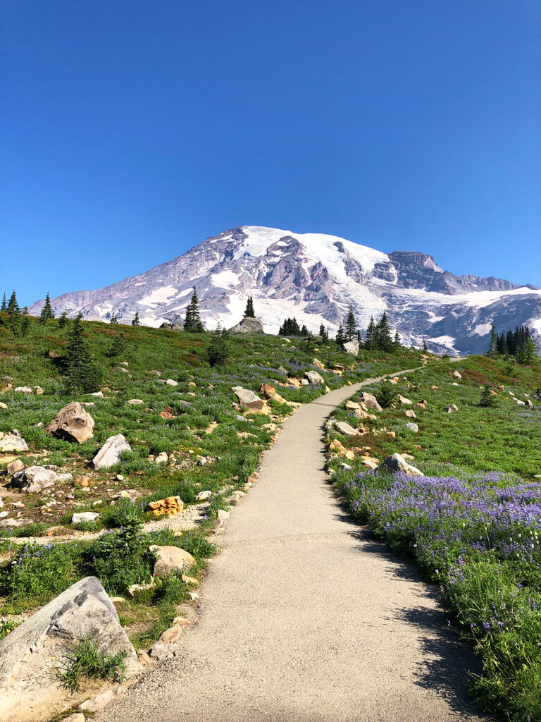 mt rainier hike up skyline trail with paved path wildflowers and mountain in distance