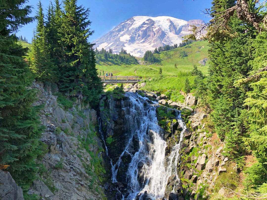 Paradise Mt Rainier: What to See, Do and Bring Plus Best Hikes