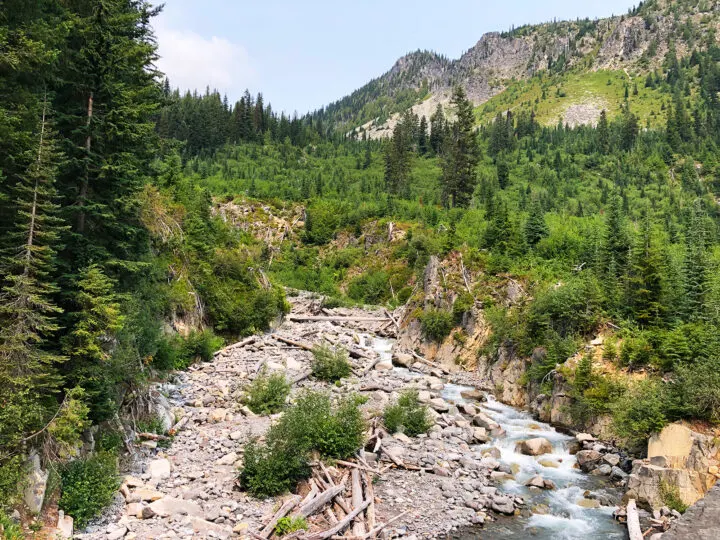 river mountain scene with creek bed green trees and cliff in background