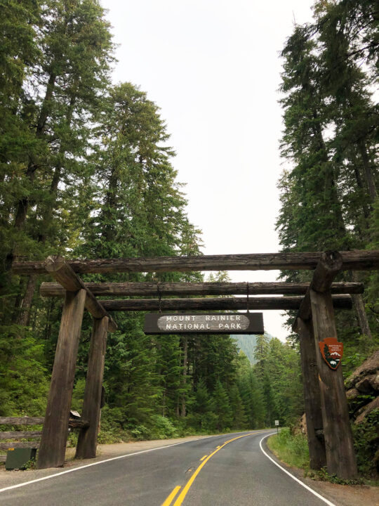 mount rainier national park entrance sign over road with tall trees beside