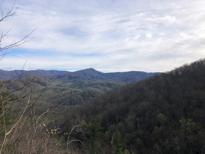 smoky mountains with bare trees on a cloudy day