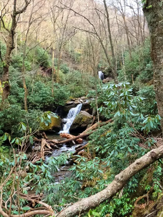 smoky mountain waterfall grotto falls from a distance with trees and shrubs nearby