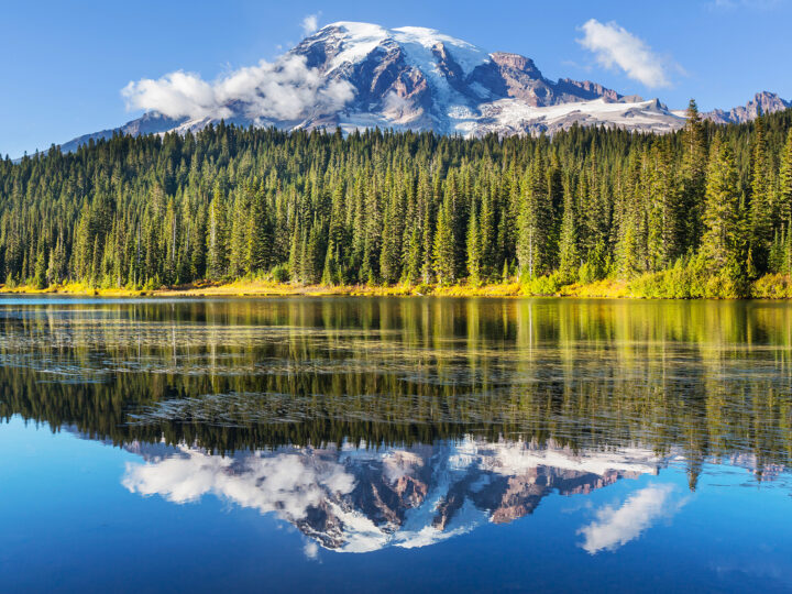 things to do in mt rainier view of mountain and trees with reflection