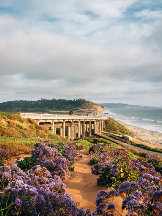 flowers and trail with view of road along the coast on cloudy day along the San Francisco to San Diego road trip