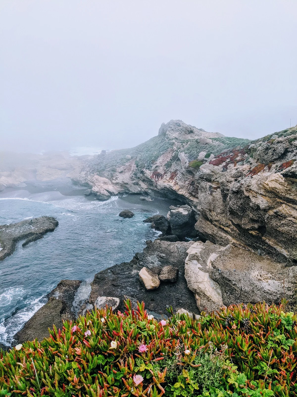 foggy cliff along the california coast with rocky shore and colorful bush in foreground