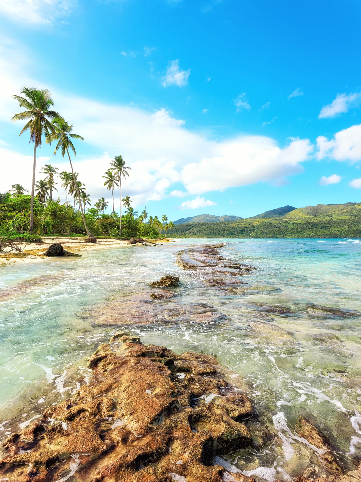 rocky beach with palm trees and beautiful island in distance on sunny day