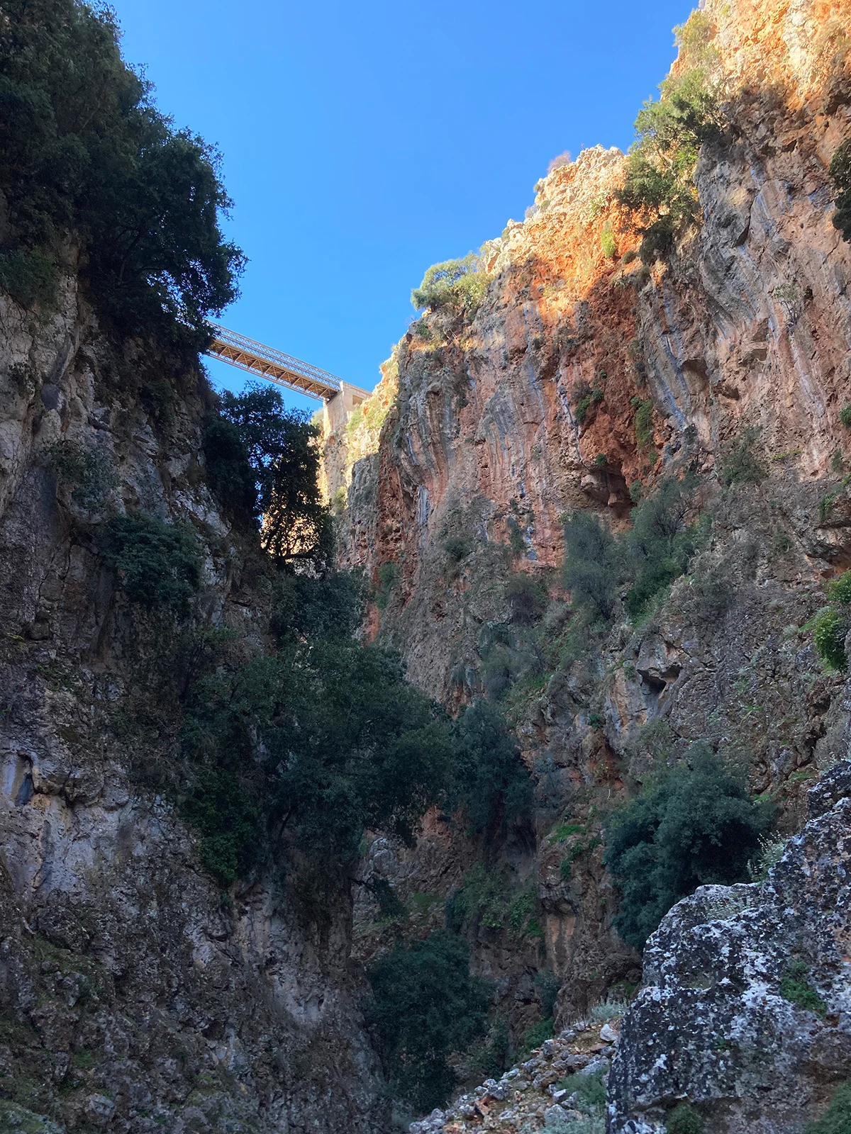 view of deep canyon with rock walls some trees and walking bridge above