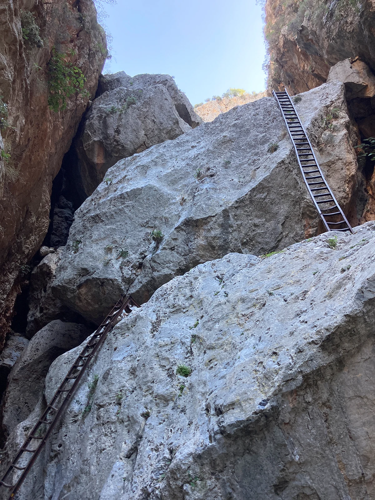 looking up at large boulders with ladders resting on them towards sky