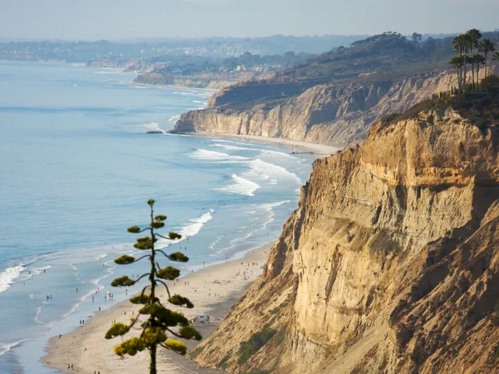 california pacific coast highway views of rocky shore water and tree in foreground