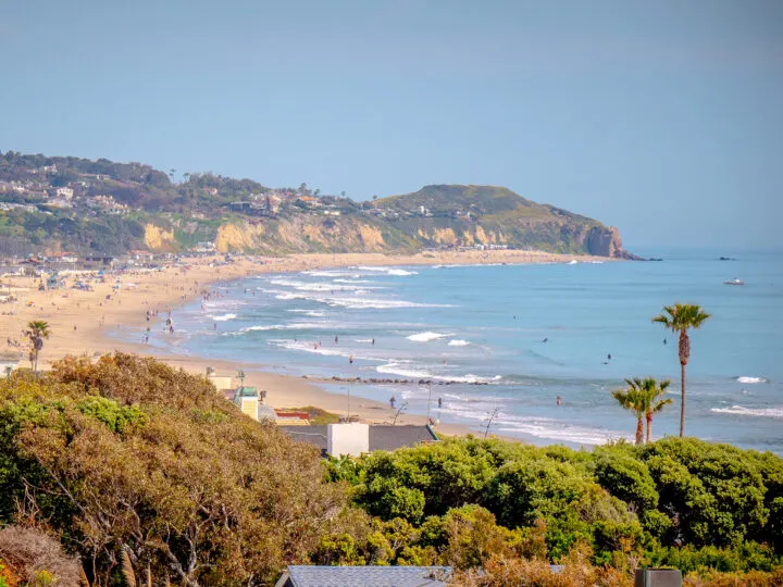 view of Malibu beach and cliffs in distance with bushes in foreground on a San Francisco to San Diego road trip