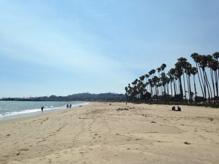 beach at Santa Barbara with tan sand palm trees and blue sky