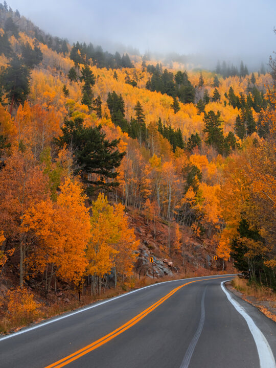 scenic drives colorado view of road with orange yellow and green leaves on foggy day