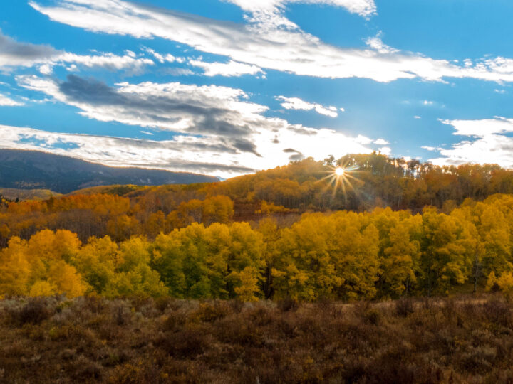 fall foliage with yellow trees and sunburst coming through with blue cloudy skies