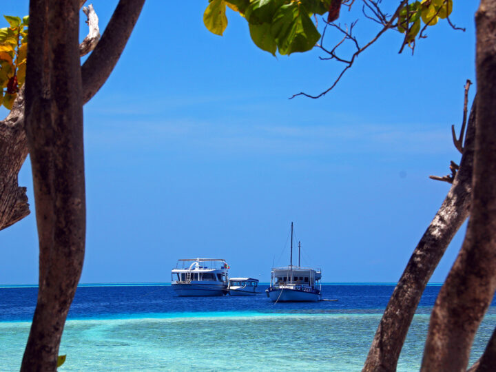two boats on blue water looking through trees in the Maldives