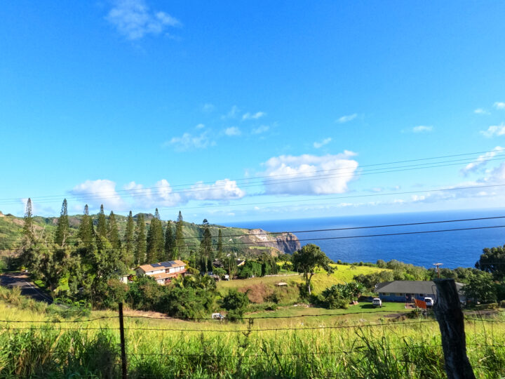 view of Maui coast including trees houses grass and ocean