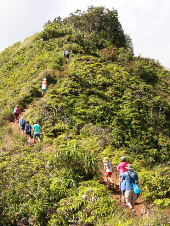 waihe'e ridge trail people climbing up steep hillside