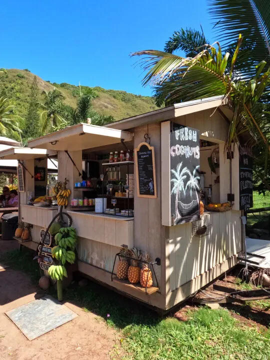 small hut with fruit and signs selling food with palm trees and hill behind