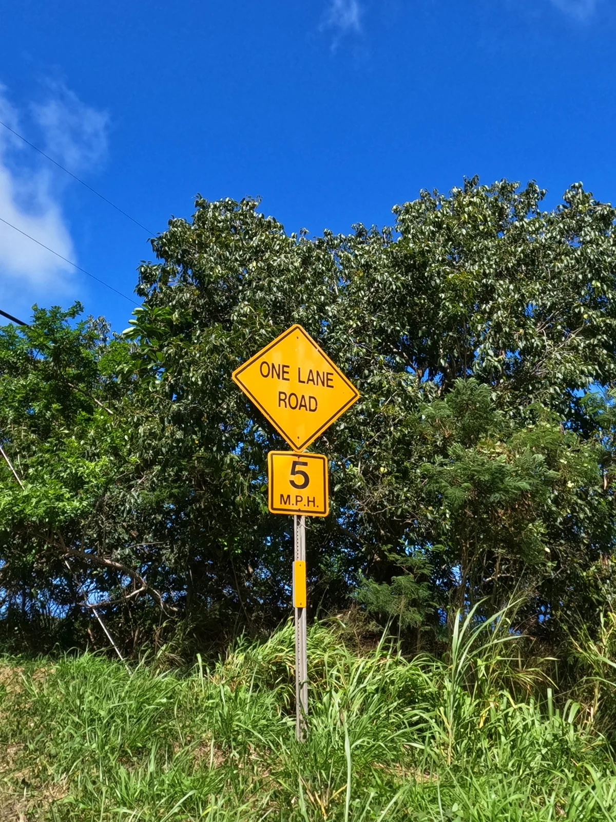 yellow sign one lane road 5 mph with trees surrounding it