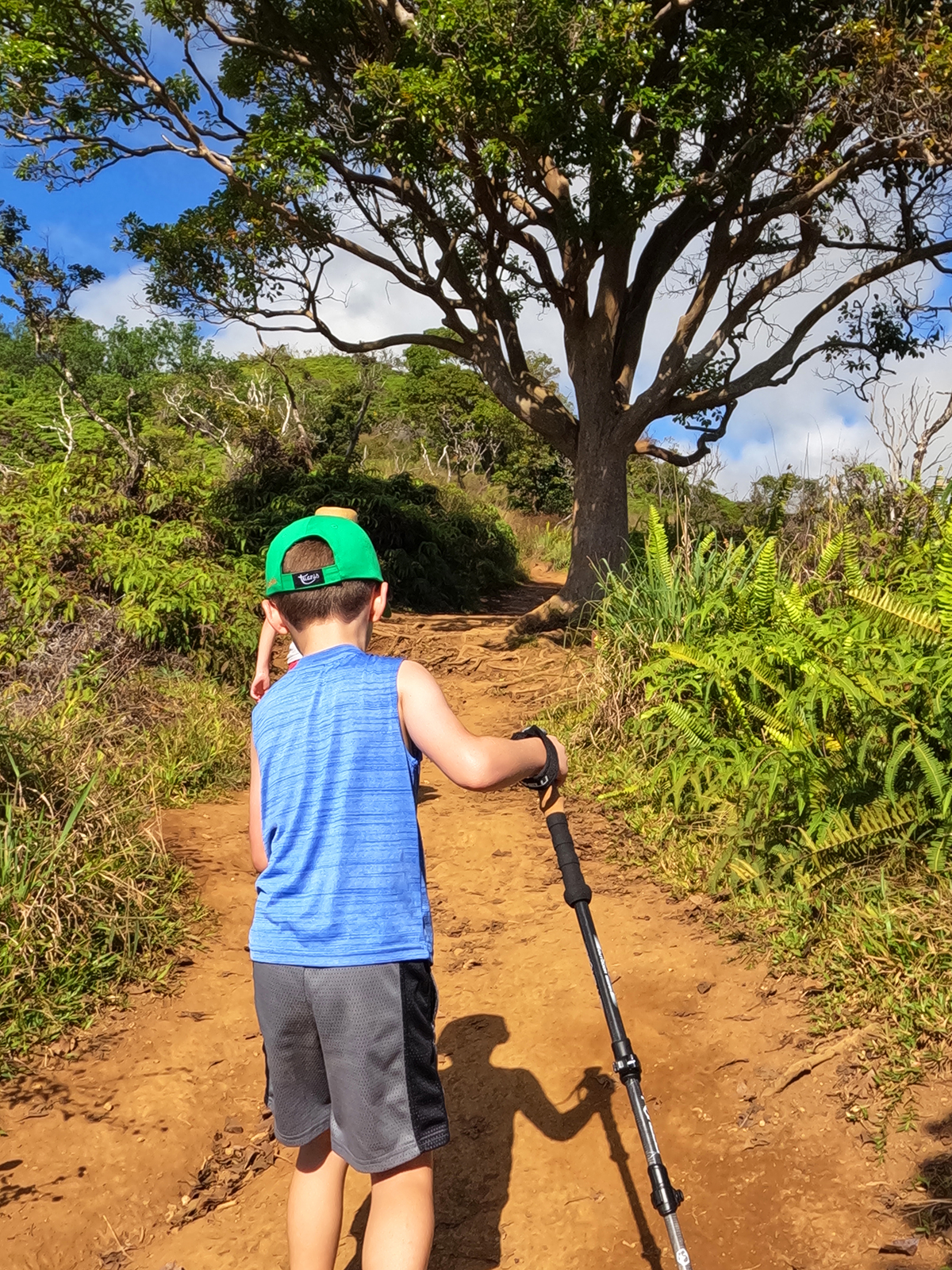 waihe'e hiking ridge trail with boy in blue shirt green hat holding hiking pole