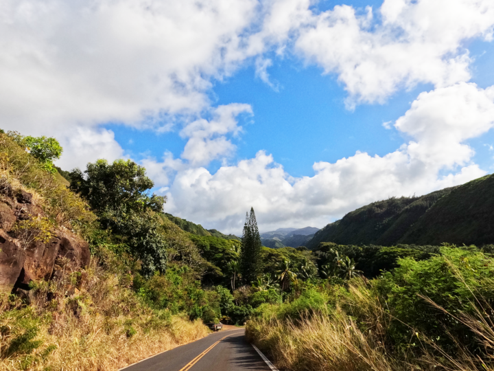 beautiful road trip maui scene with trees mountains and clouds with road