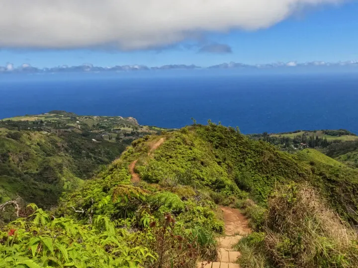 looking down at waihee ridge trail path with dirt over hill and ocean in distance