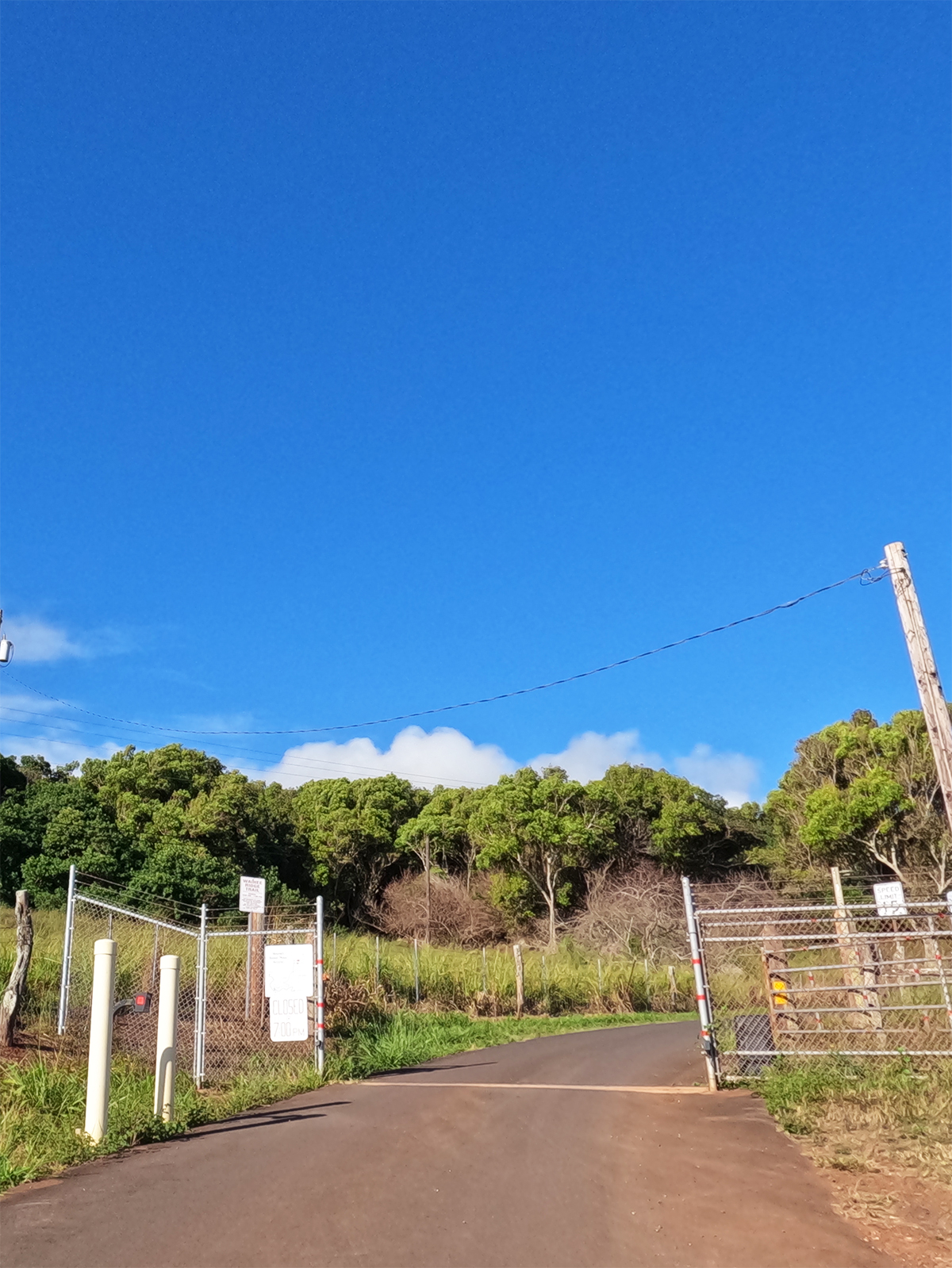 road with gate and trees in distance blue sky