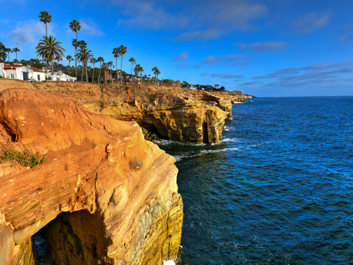 rocky cliffs of San Diego in the fall with palm trees ocean and houses