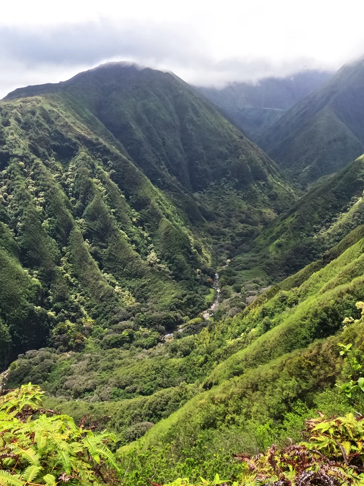green valley at waihee ridge trail with lush mountain ridges and clouds in valley
