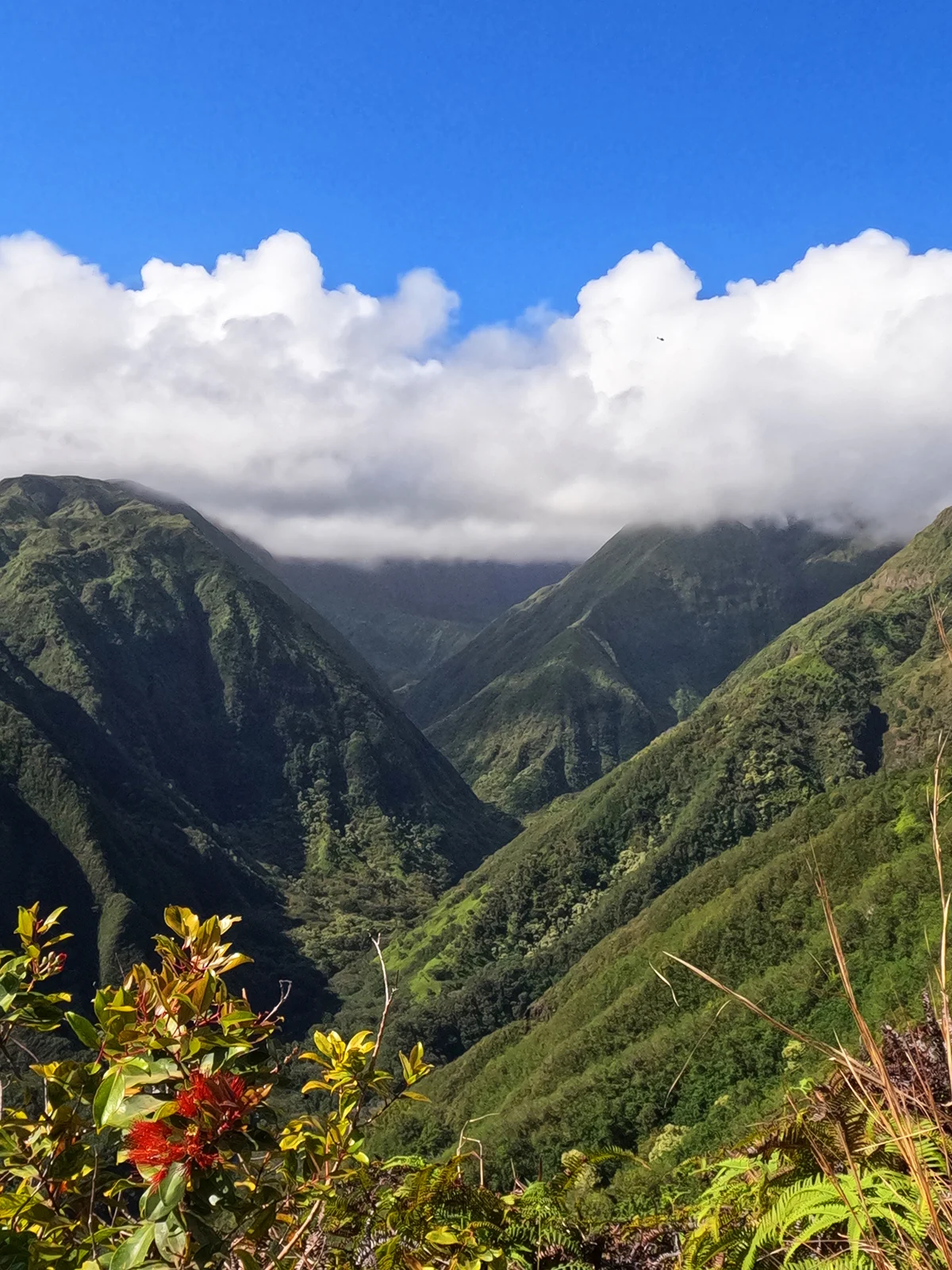 waihee ridge trail views of the lush valley with white puffy clouds and blue sky