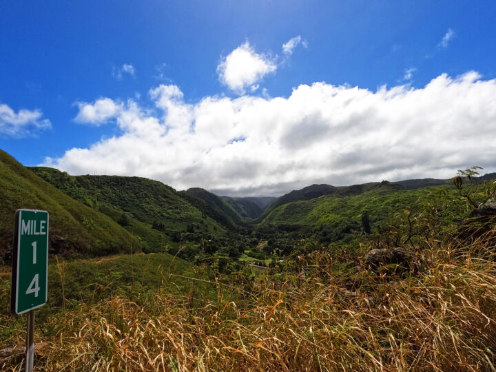 mile marker 14 kahekili highway view of grasses lush valley on sunny day
