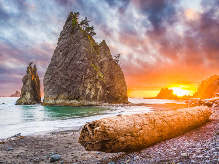best national parks to visit in October view of log on beach with rocky cliff at sunset